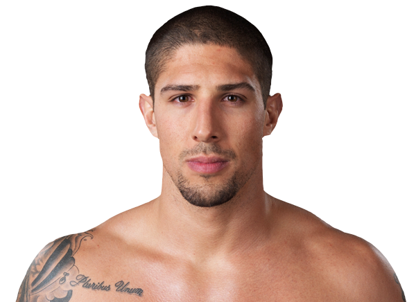 Brendan Schaub